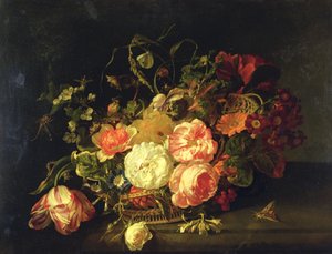 Fleurs et insectes, 1711